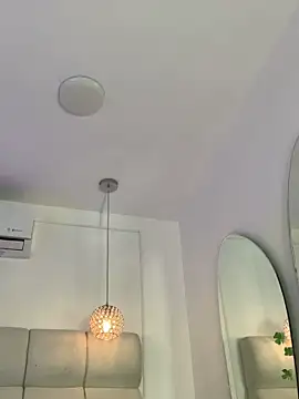 Alexa_Handler webcam