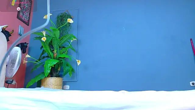 hunter_biggest webcam