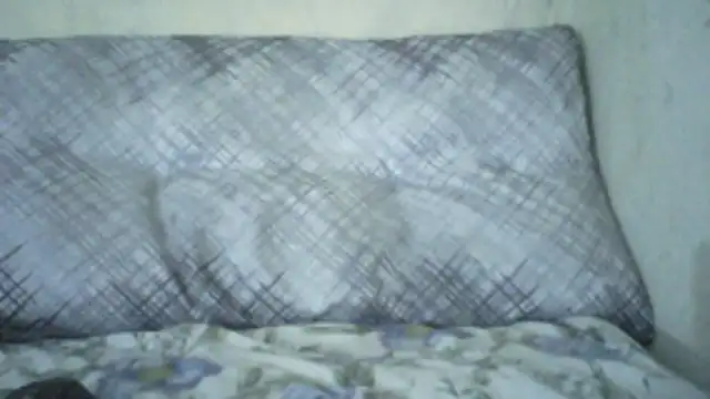 EveningxBreeze webcam