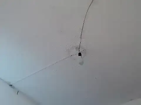 Ailanys_Miller webcam