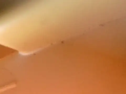 Bigcockmexi13 webcam