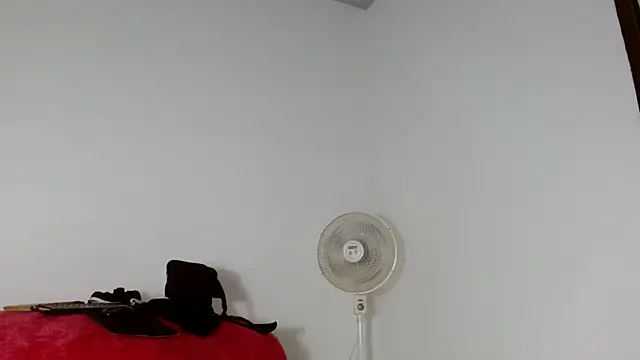 alejandrofoxnoir18 webcam