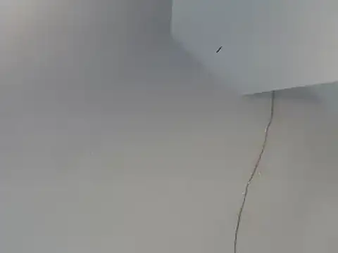 Ailanys_Miller webcam