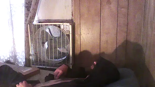 luke_thighwalker2469 - Luke_thighwalker2469's free webcam - UK Sex Cams