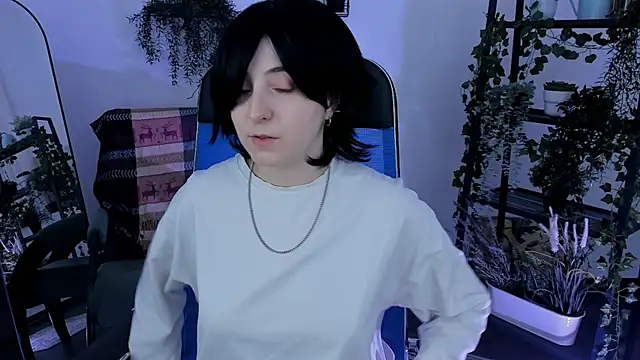 VirtuallVoyant webcam