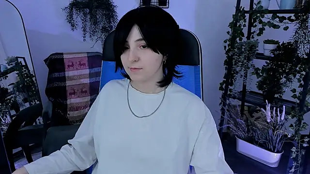 VirtuallVoyant webcam