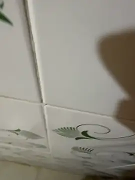 dickmaster8782 webcam