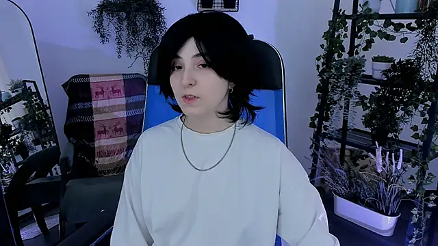 VirtuallVoyant webcam