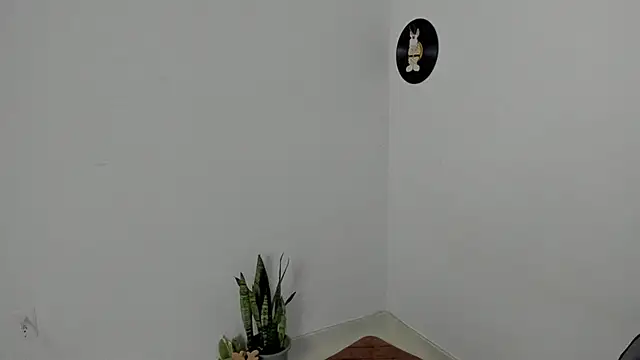 star_shooting8 webcam