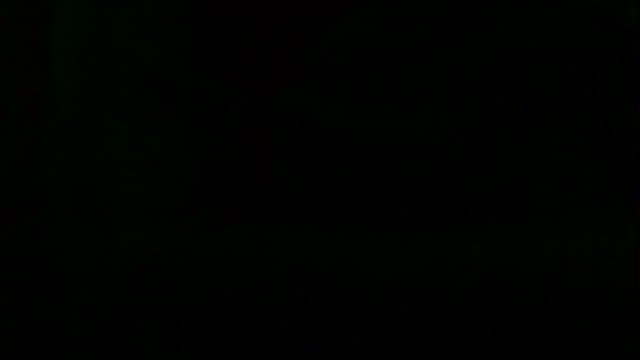 markluvskitty webcam