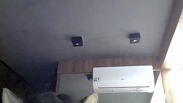 SkinnyKitten webcam