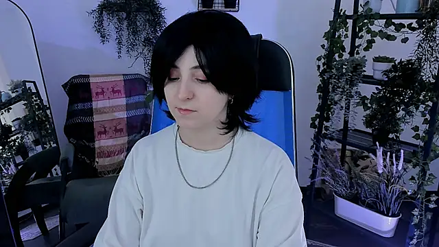 VirtuallVoyant webcam