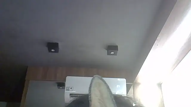 SkinnyKitten webcam