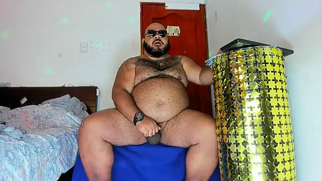 Bearspigdirty webcam