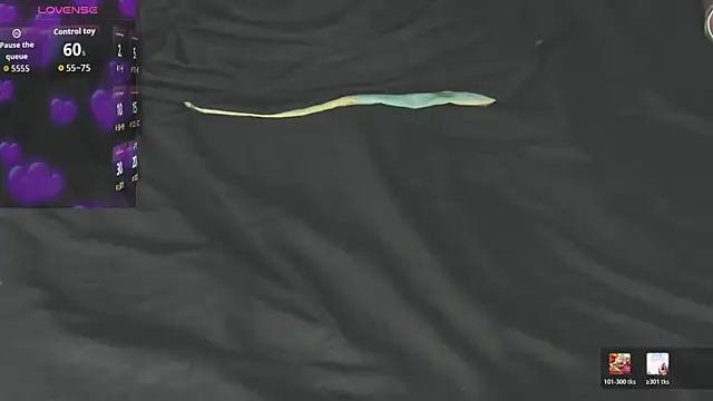 Tamaramilleer webcam