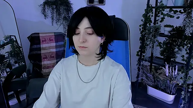 VirtuallVoyant webcam