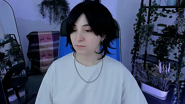 VirtuallVoyant webcam