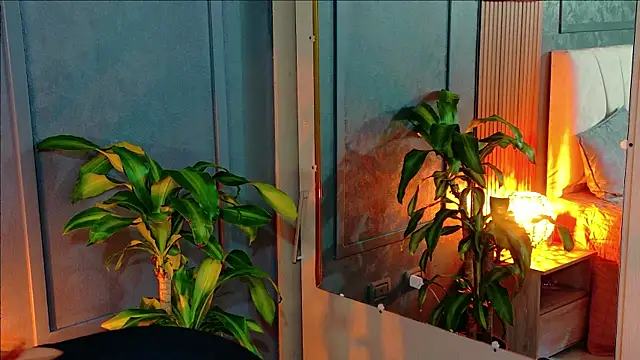 Ambar_Mancinii webcam