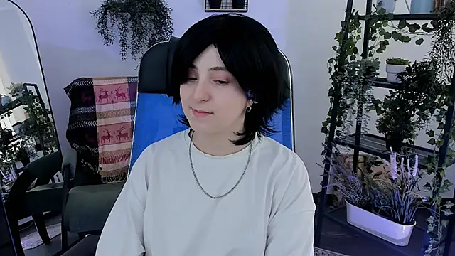 VirtuallVoyant webcam