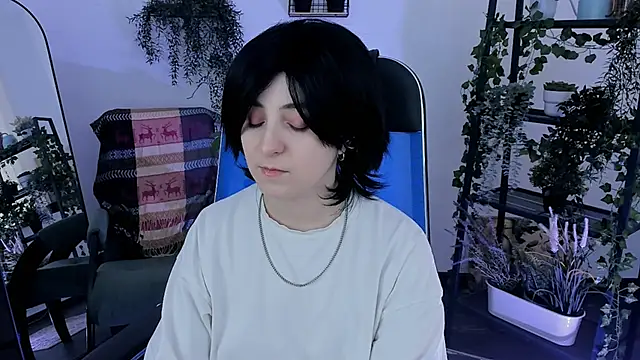 VirtuallVoyant webcam