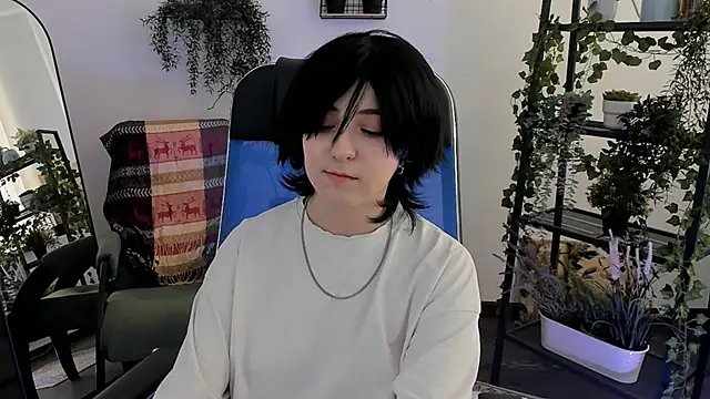 VirtuallVoyant webcam