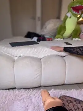 selenne_schmitt webcam