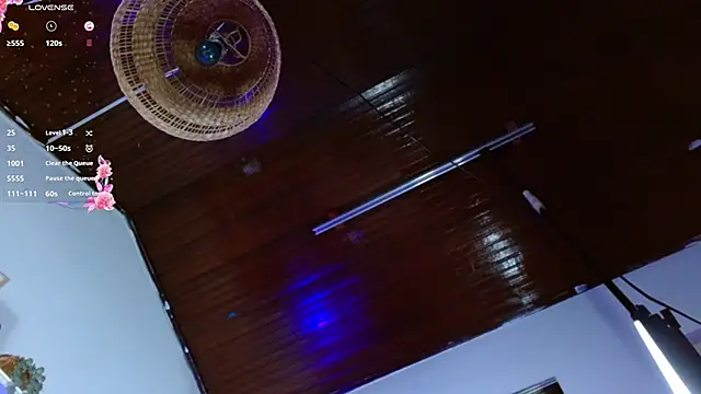 shiny_foxeyes webcam