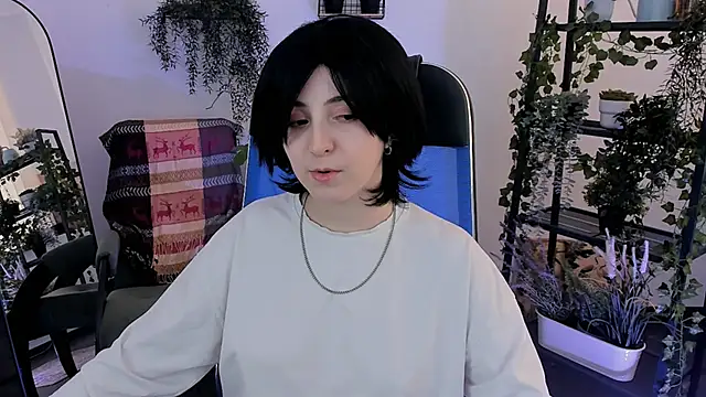 VirtuallVoyant webcam