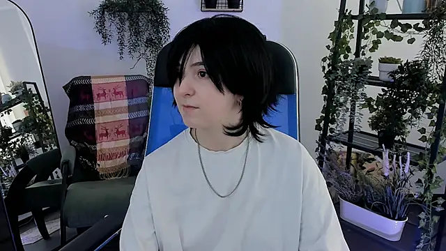 VirtuallVoyant webcam