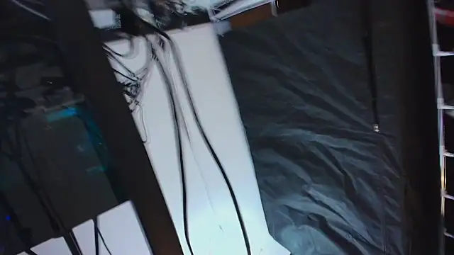 Liathompson_FG webcam