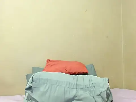 champaigncork webcam