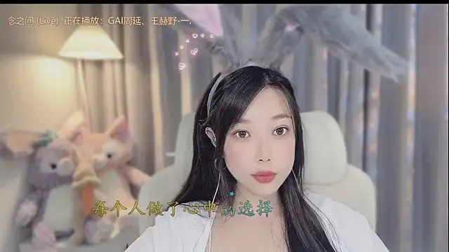 facai-feifei webcam