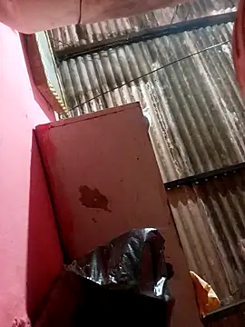 Hellentrans24 webcam