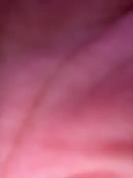 izanmiller2001 webcam