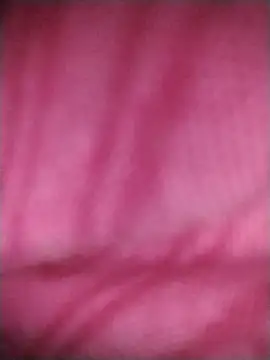 Francescodicristina44 webcam