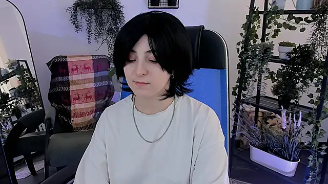 VirtuallVoyant webcam