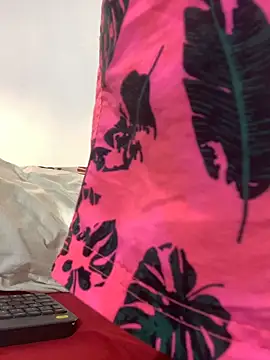 Salomon_koude webcam