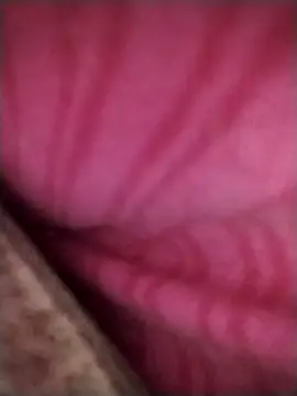 Francescodicristina44 webcam