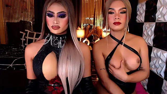 StellaPerkins webcam