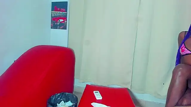 PurePassionDuo webcam