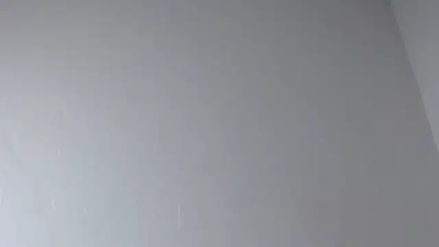 valeryskinnyvagi webcam