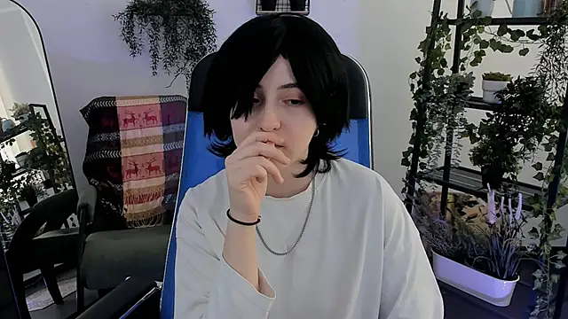 VirtuallVoyant webcam