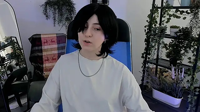 VirtuallVoyant webcam