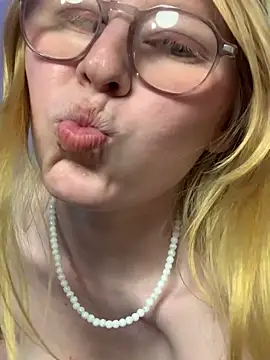 Alexa_Handler webcam