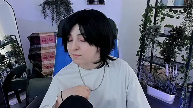 VirtuallVoyant webcam