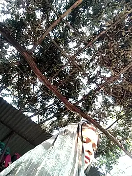 bhavna_pandit webcam