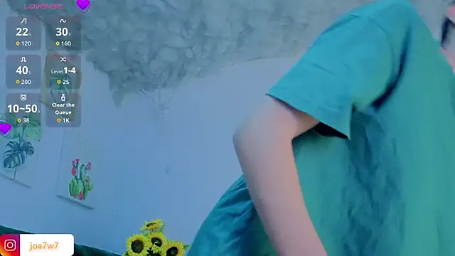 Levii_Ackermann webcam