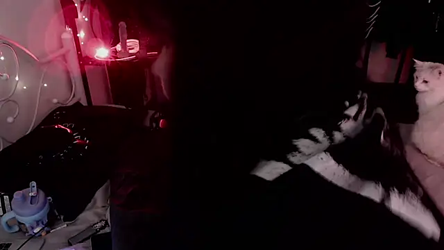 GothicKiraVex webcam