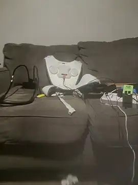 yourMasterisBored webcam