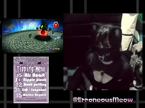 ErroneousMeow webcam